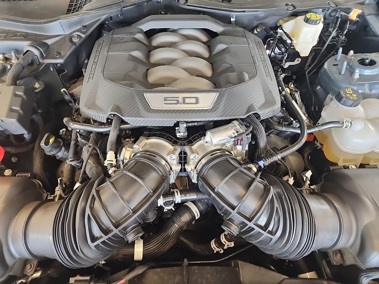 2025 Ford Mustang GT Premium Richmond VA
