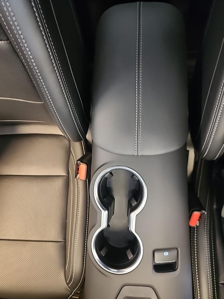 2025 Ford Mustang GT Premium Richmond VA