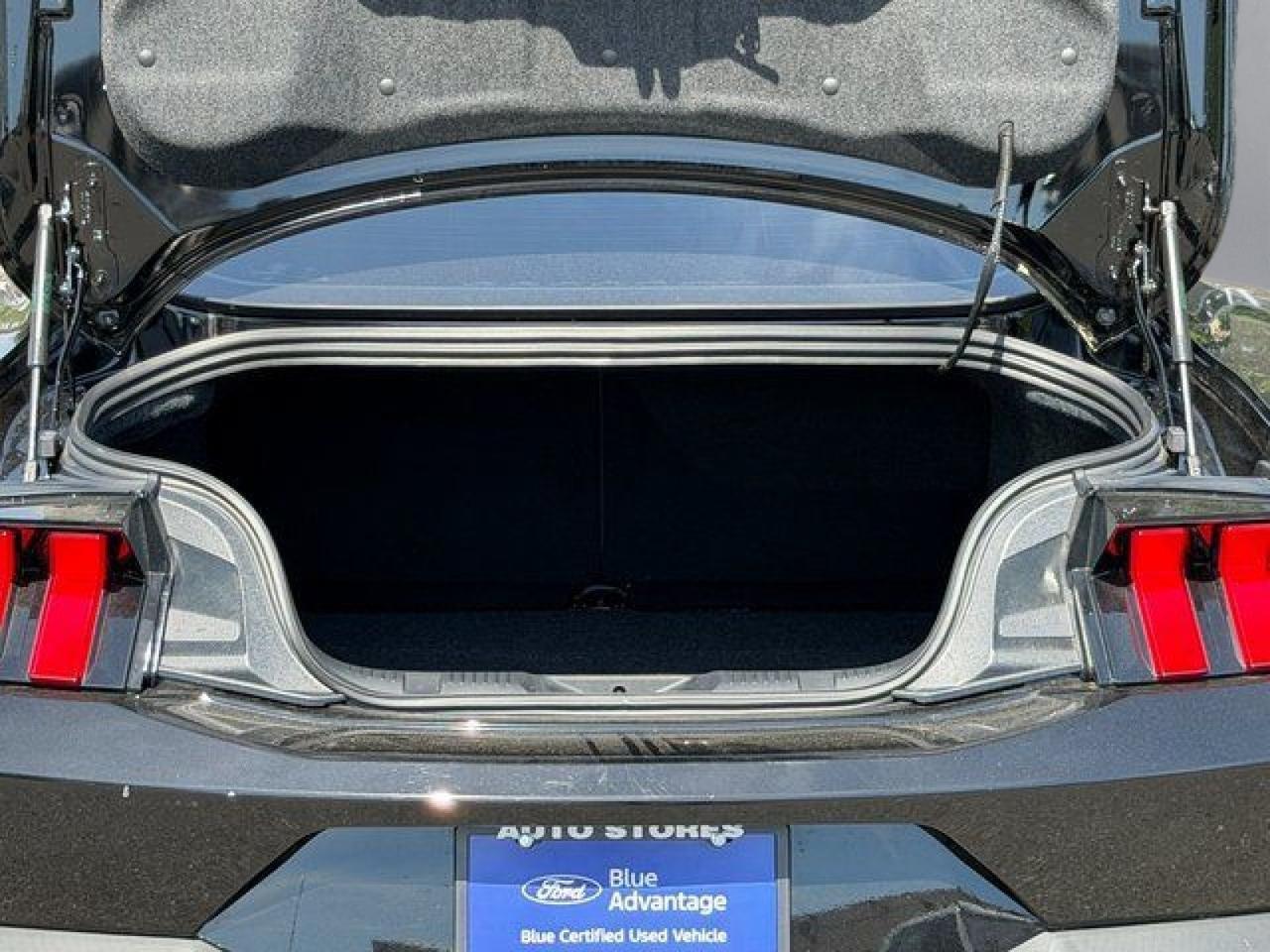 2025 Ford Mustang GT Premium Springfield VA