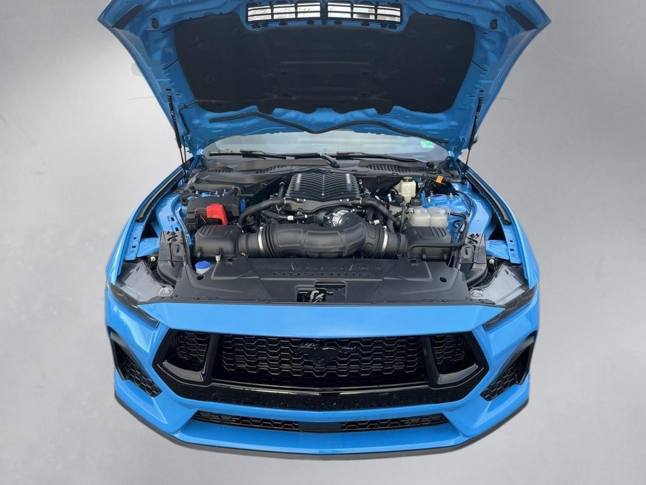 2025 Ford Mustang GT Premium Springfield VA