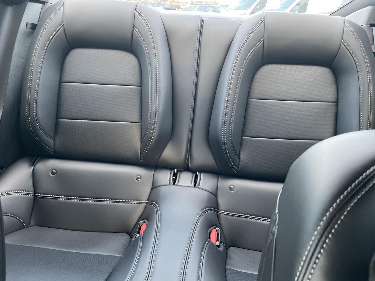 2025 Ford Mustang GT Premium Springfield VA