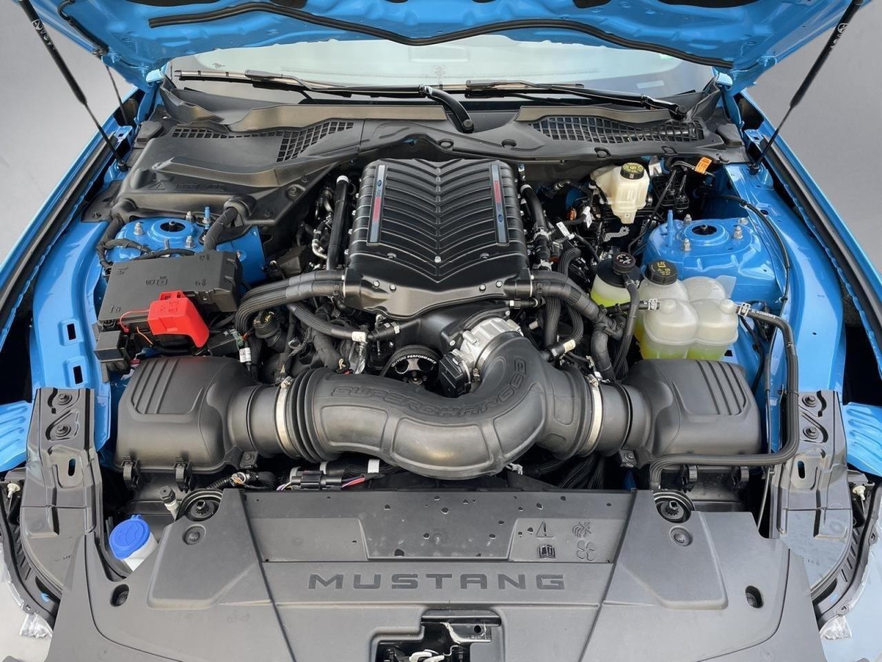 2025 Ford Mustang GT Premium Springfield VA