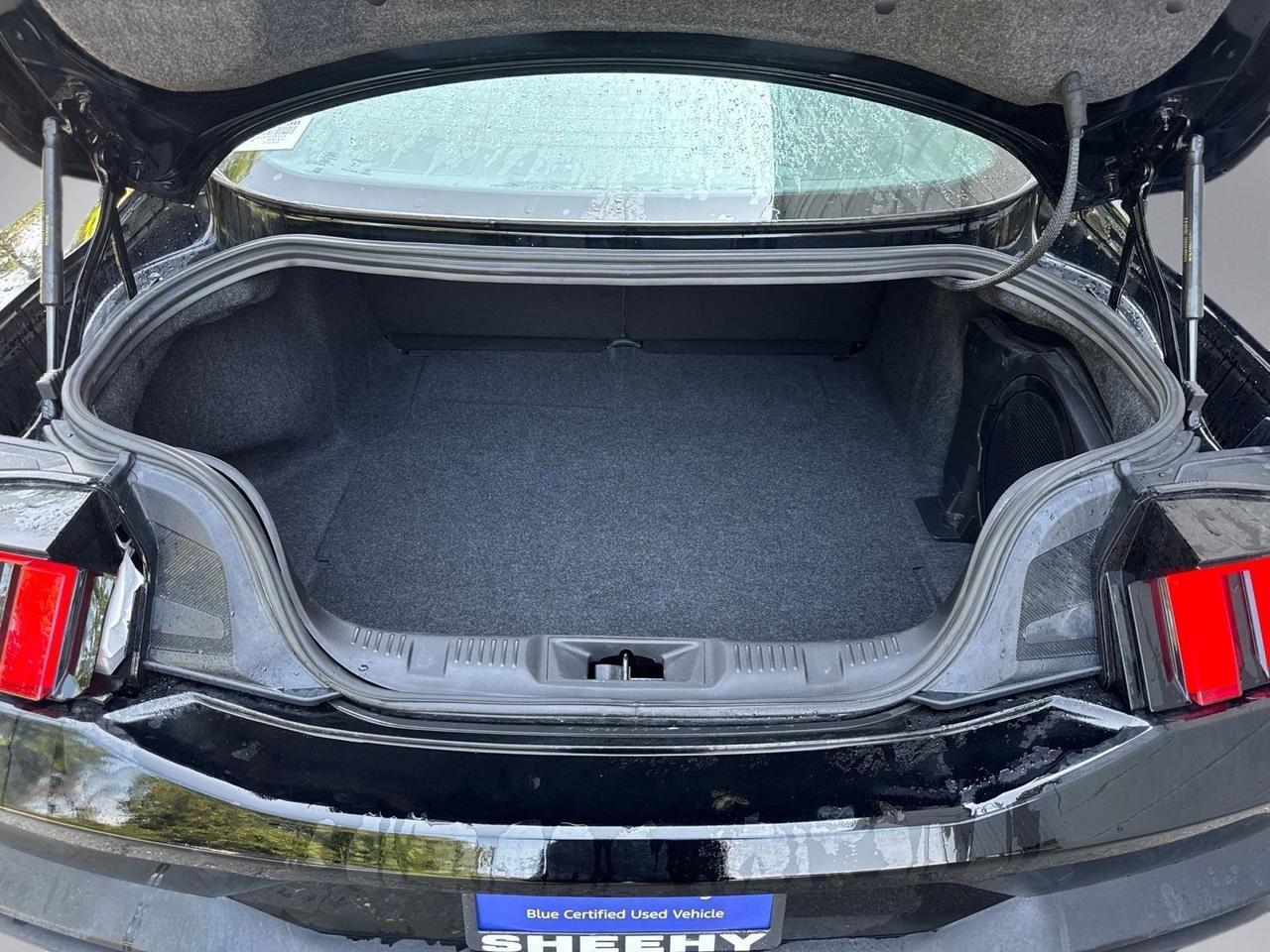2025 Ford Mustang GT Premium Warrenton VA