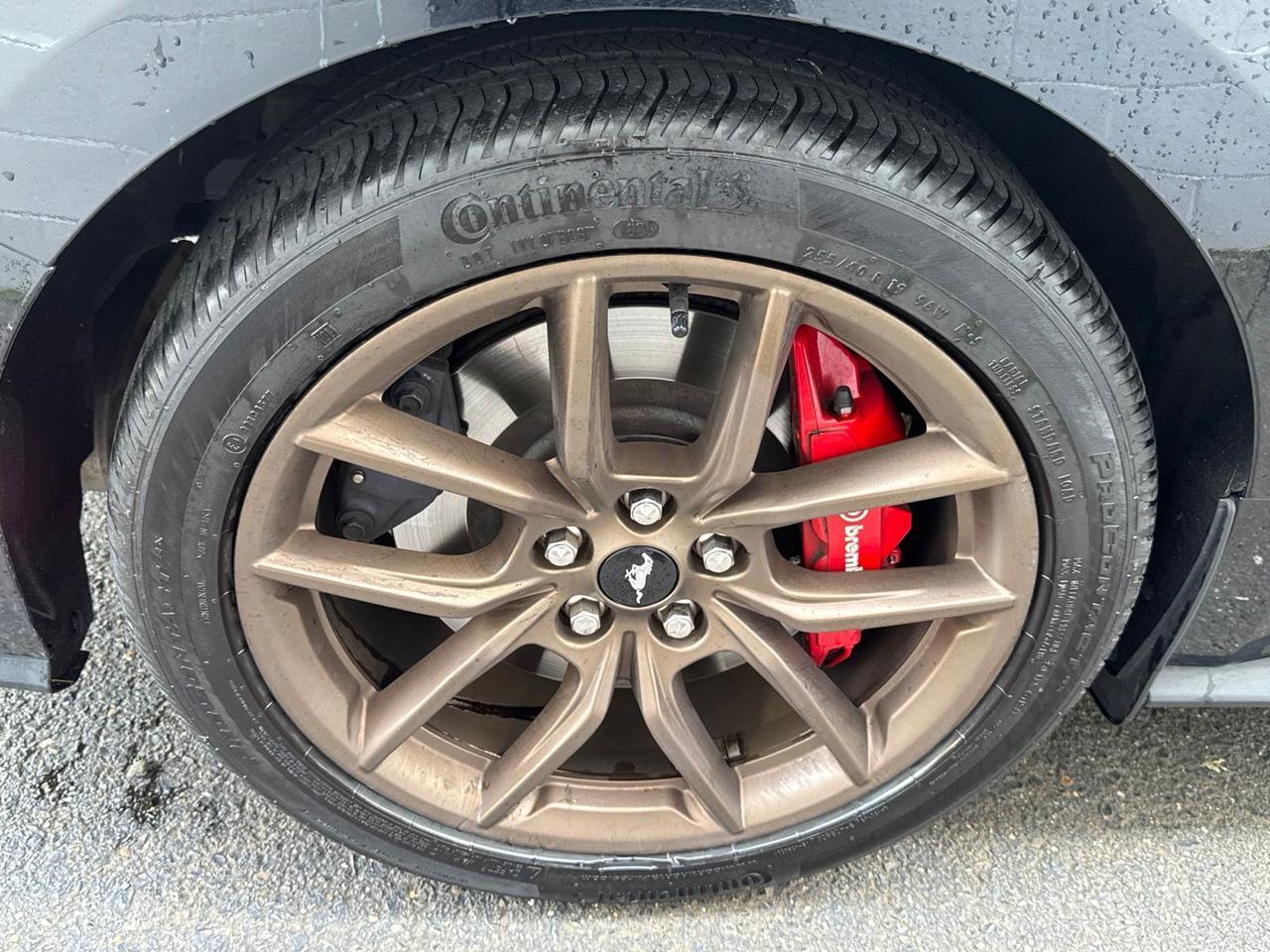 2025 Ford Mustang GT Premium Warrenton VA