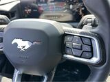 2025 Ford Mustang GT San Diego County CA
