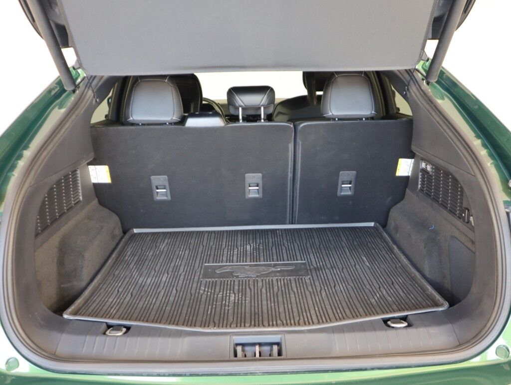 2025 Ford Mustang Mach-E GT AWD w/Bronze Appearance Maumee OH