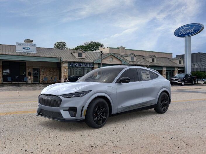 2025 Ford Mustang Mach-E GT Oshkosh WI