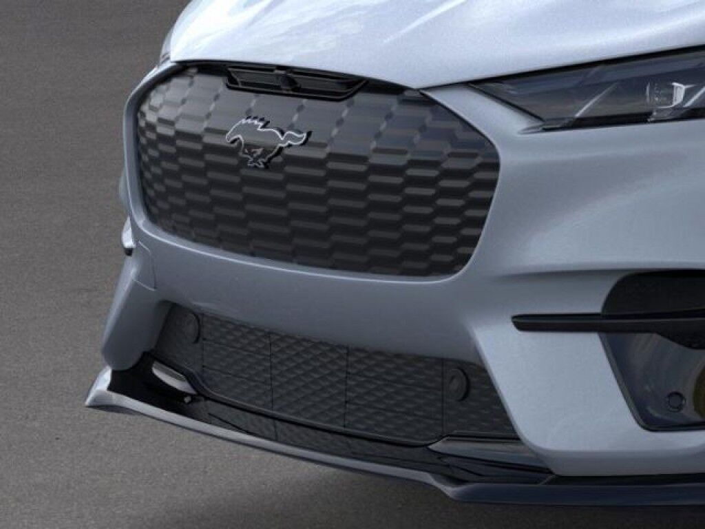 2025 Ford Mustang Mach-E GT Owego NY