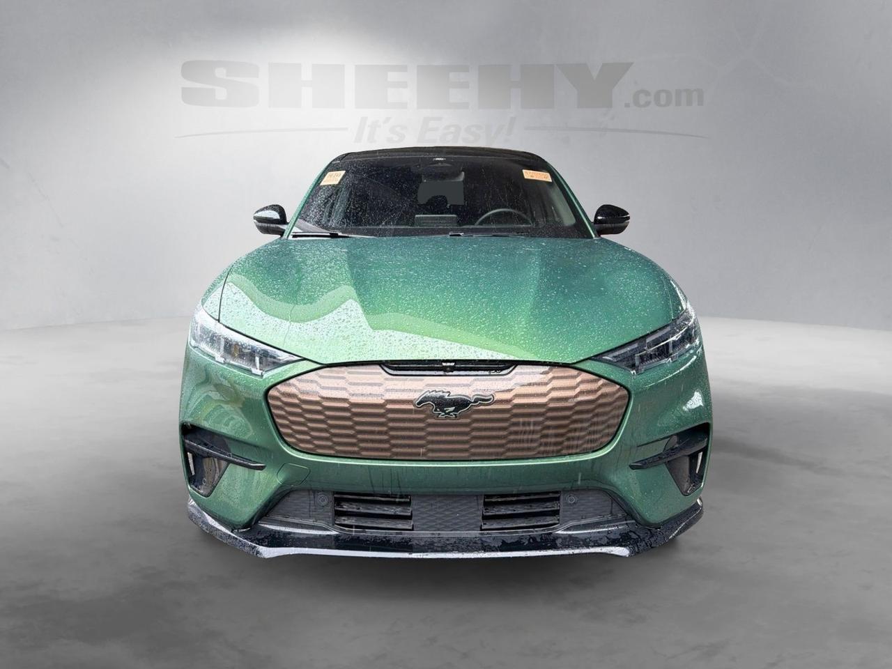 2025 Ford Mustang Mach-E GT Gaithersburg MD