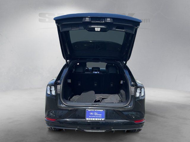 2025 Ford Mustang Mach-E GT Springfield VA