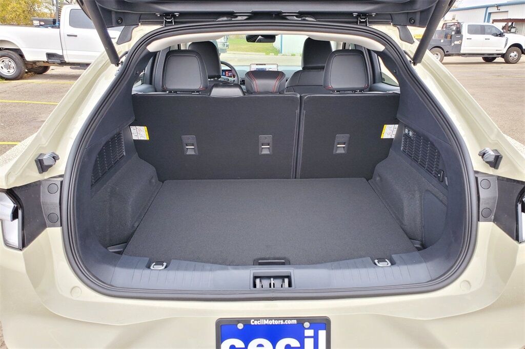 2025 Ford Mustang Mach-E Premium Hondo TX