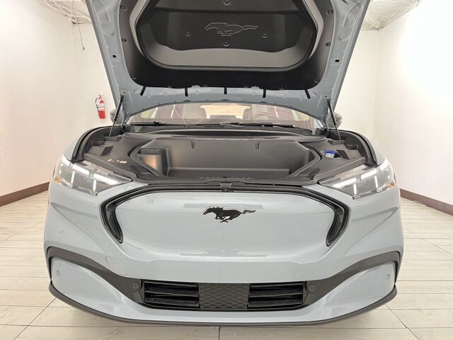 2025 Ford Mustang Mach-E Premium Carrollton TX