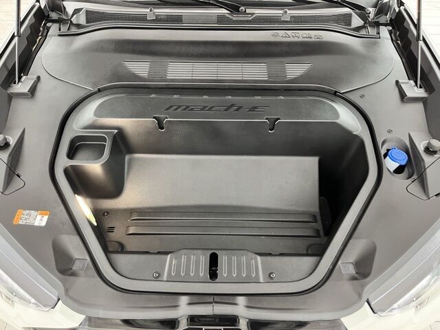 2025 Ford Mustang Mach-E Premium Carrollton TX