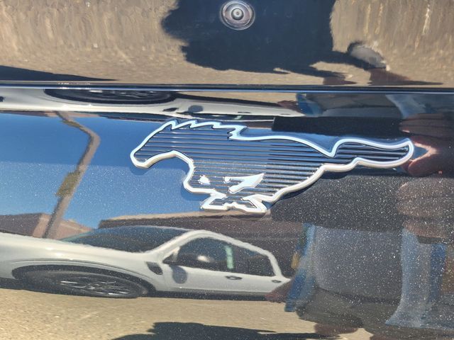 2025 Ford Mustang Mach-E Premium Folsom CA