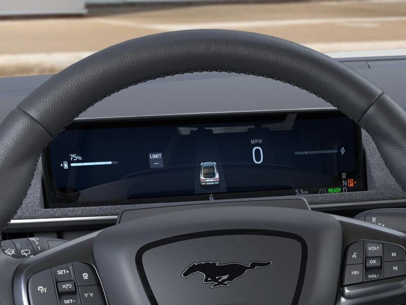 2025 Ford Mustang Mach-E Premium Green Bay WI