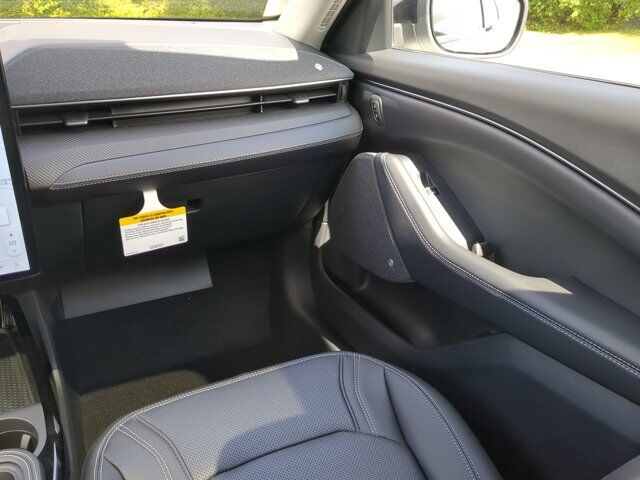 2025 Ford Mustang Mach-E Premium Appleton WI