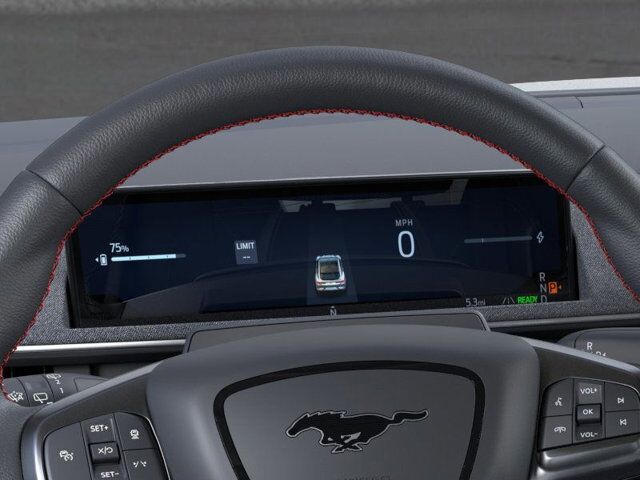 2025 Ford Mustang Mach-E Premium Appleton WI
