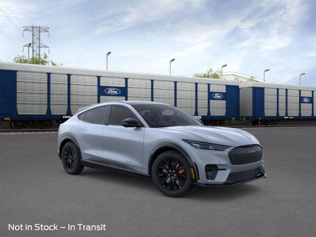 2025 Ford Mustang Mach-E Premium Appleton WI