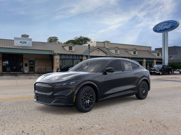 2025 Ford Mustang Mach-E Premium Oshkosh WI