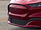 2025 Ford Mustang Mach-E Premium Oshkosh WI