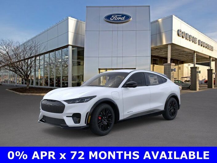 2025 Ford Mustang Mach-E Premium Oshkosh WI