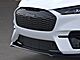 2025 Ford Mustang Mach-E Premium Oshkosh WI 2025 Ford Mustang Mach-E Premium Oshkosh WI