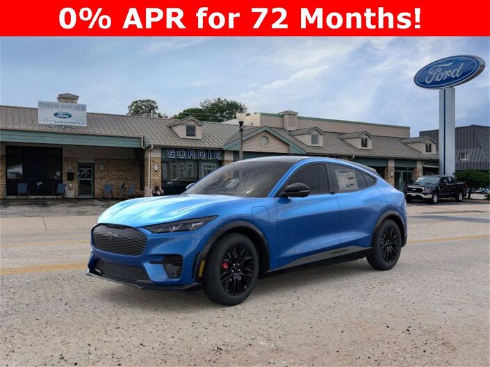 2025 Ford Mustang Mach-E Premium Oshkosh WI