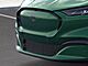 2025 Ford Mustang Mach-E Premium Oshkosh WI