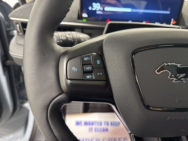 2025 Ford Mustang Mach-E Premium Pine River MN