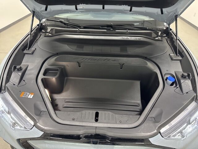 2025 Ford Mustang Mach-E Premium Pine River MN