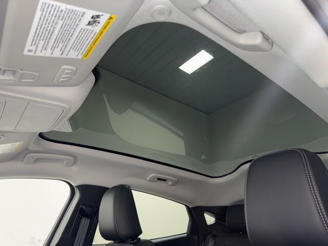 2025 Ford Mustang Mach-E Premium Pine River MN