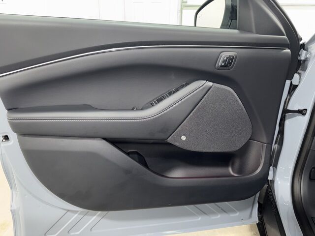 2025 Ford Mustang Mach-E Premium Pine River MN