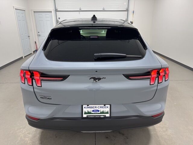 2025 Ford Mustang Mach-E Premium Pine River MN
