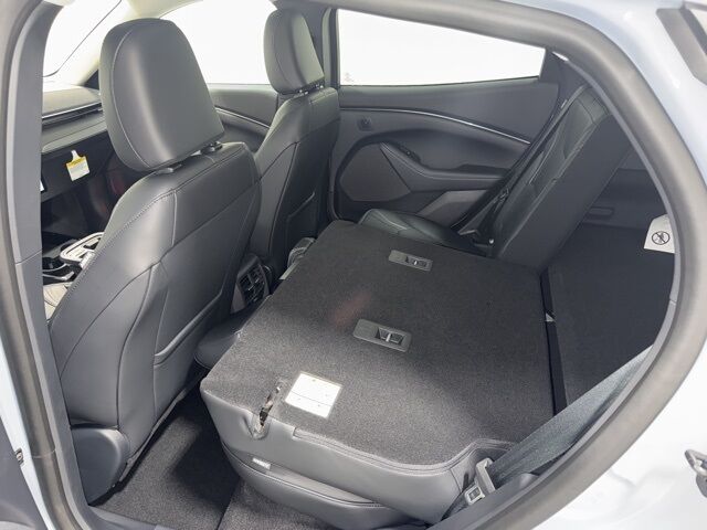 2025 Ford Mustang Mach-E Premium Pine River MN