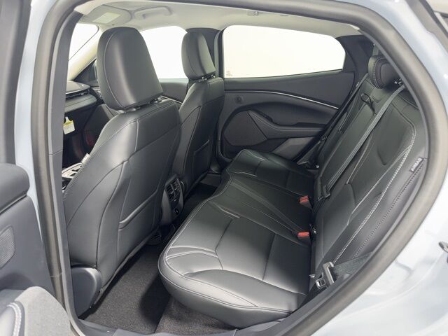 2025 Ford Mustang Mach-E Premium Pine River MN