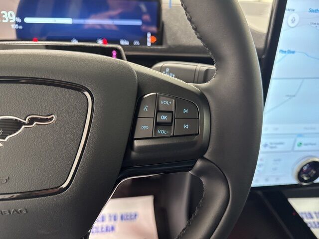 2025 Ford Mustang Mach-E Premium Pine River MN