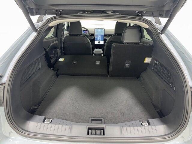 2025 Ford Mustang Mach-E Premium Pine River MN