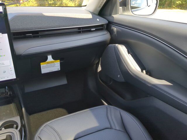 2025 Ford Mustang Mach-E Premium Winder GA