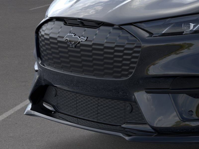 2025 Ford Mustang Mach-E Premium Ashland VA