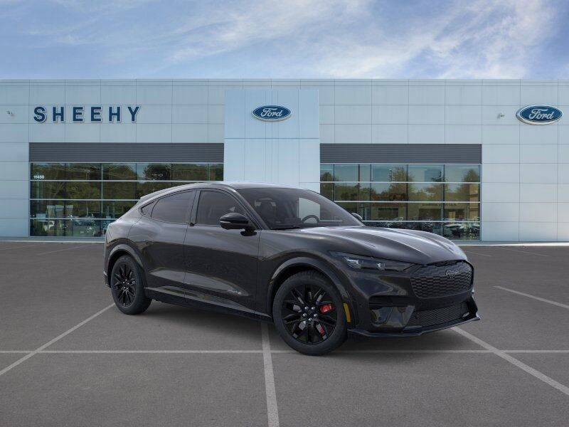 2025 Ford Mustang Mach-E Premium Ashland VA