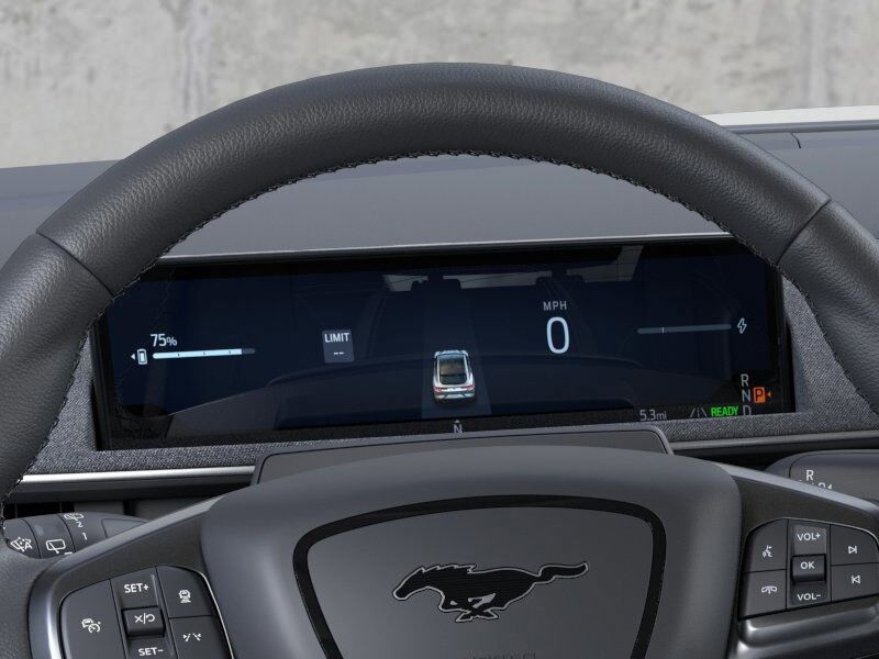 2025 Ford Mustang Mach-E Premium Gaithersburg MD