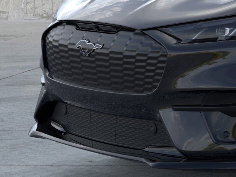 2025 Ford Mustang Mach-E Premium Richmond VA