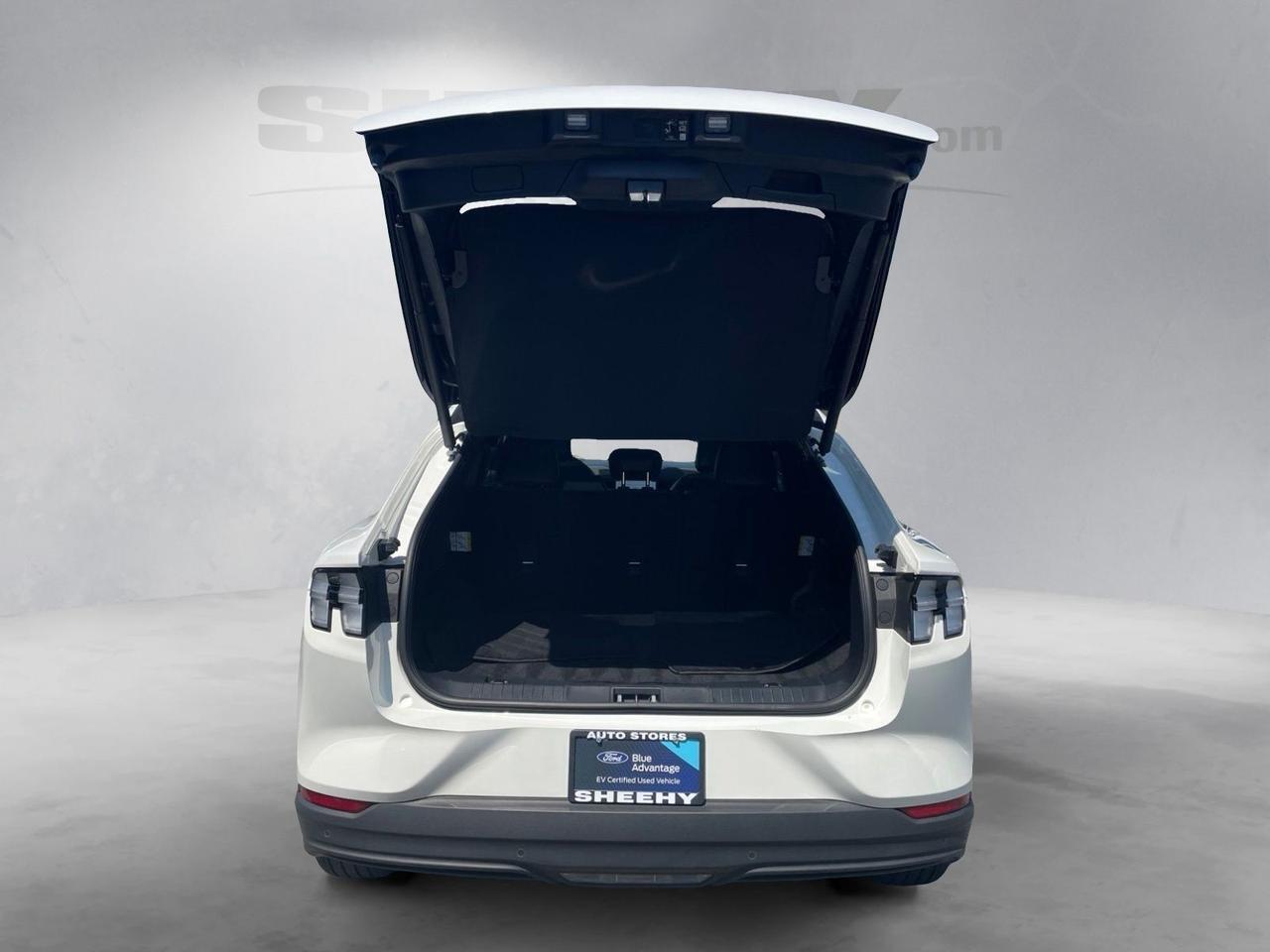 2025 Ford Mustang Mach-E Premium Springfield VA