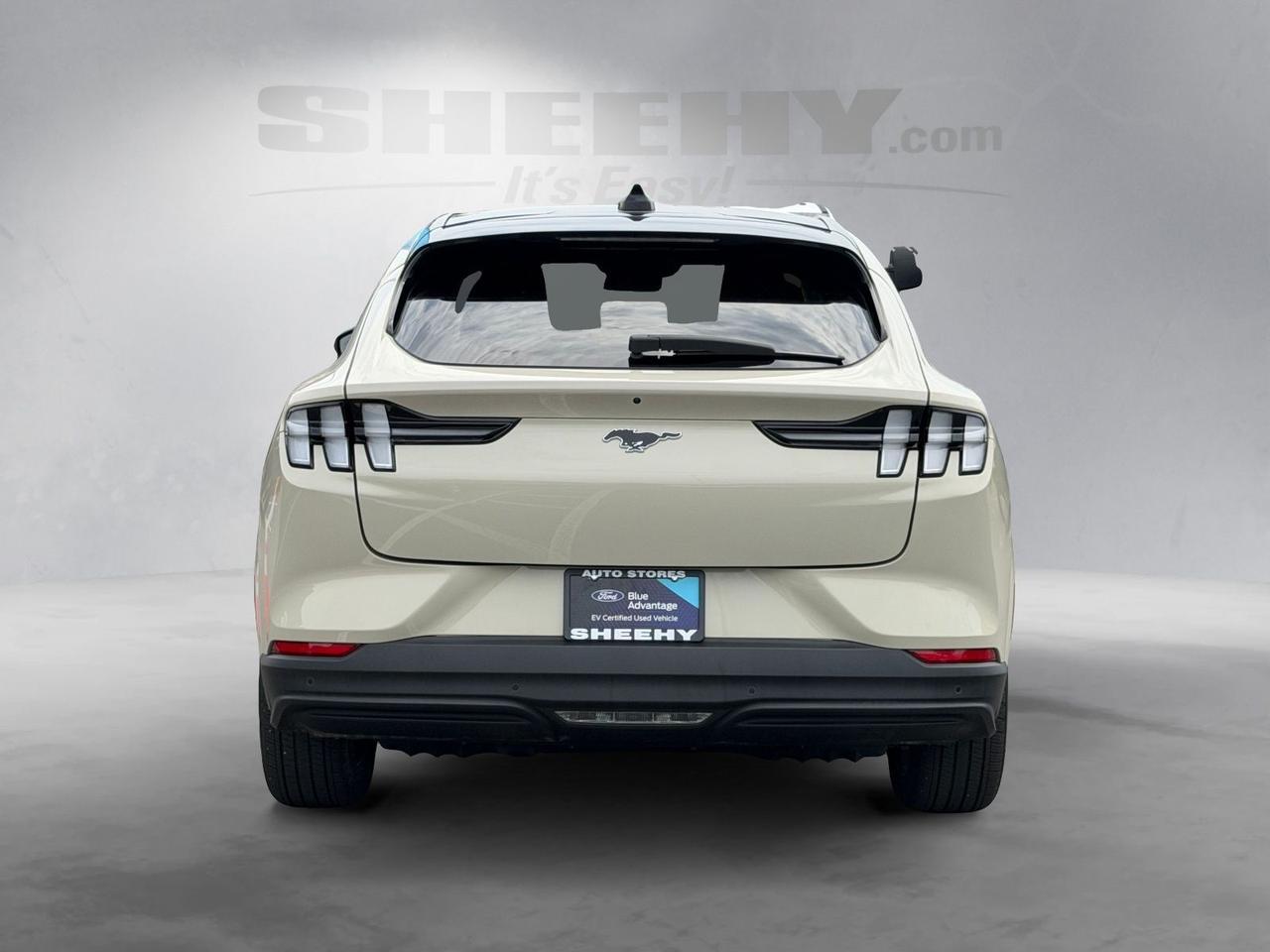 2025 Ford Mustang Mach-E Premium Springfield VA