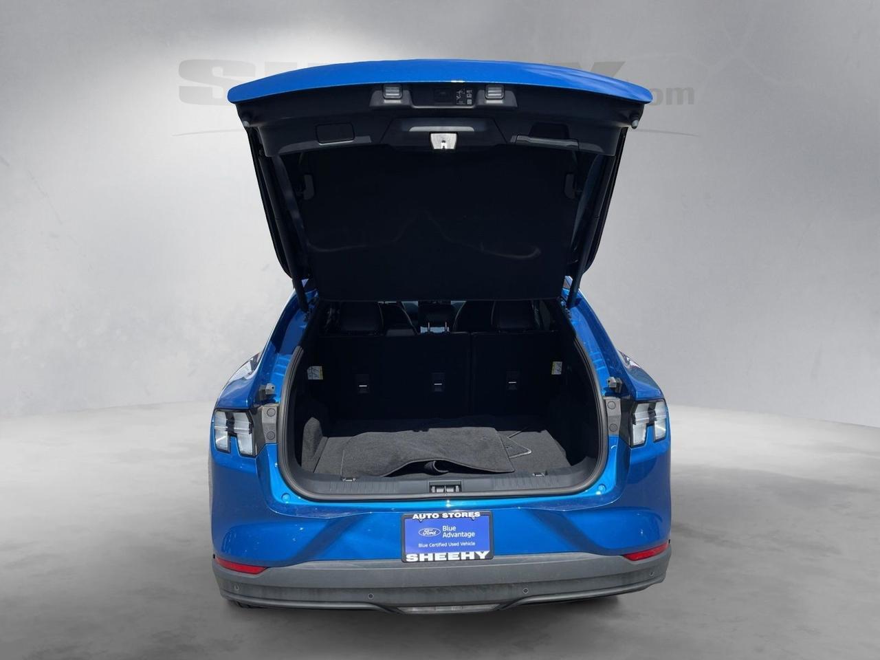 2025 Ford Mustang Mach-E Premium Springfield VA