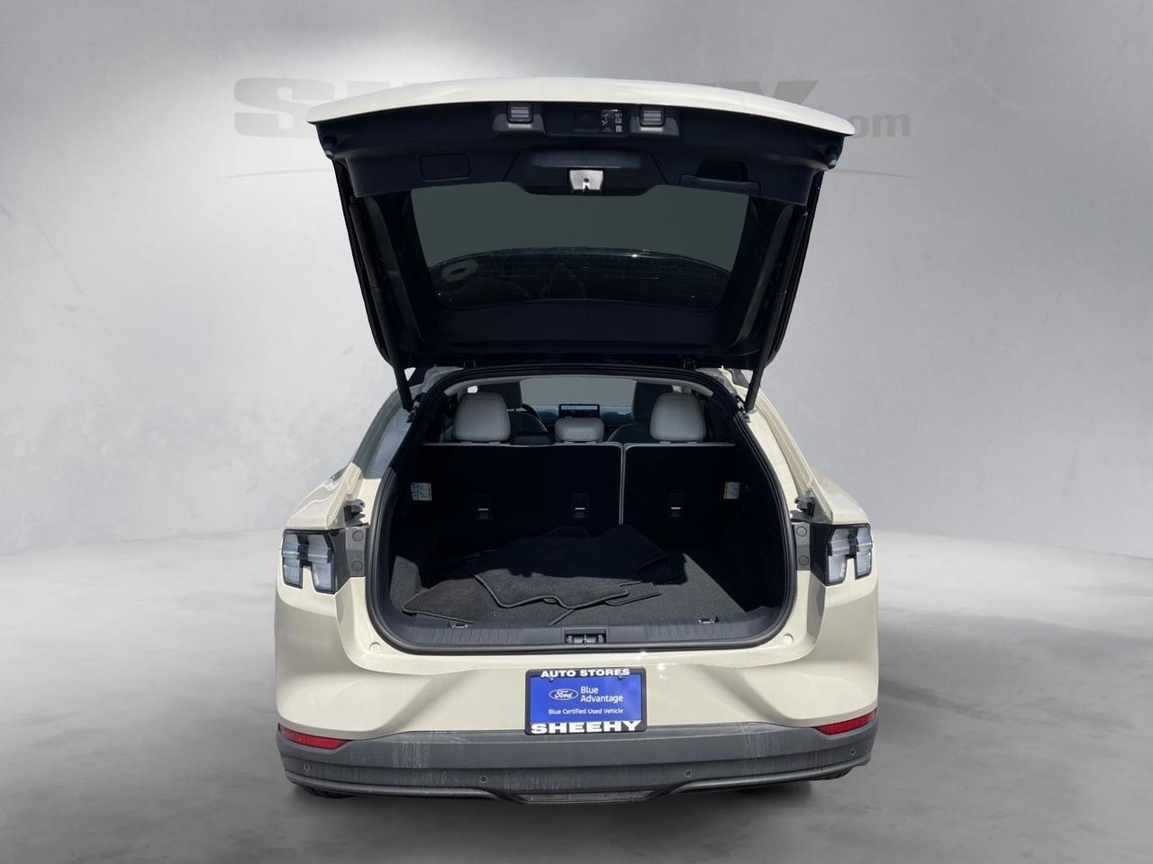 2025 Ford Mustang Mach-E Premium Springfield VA