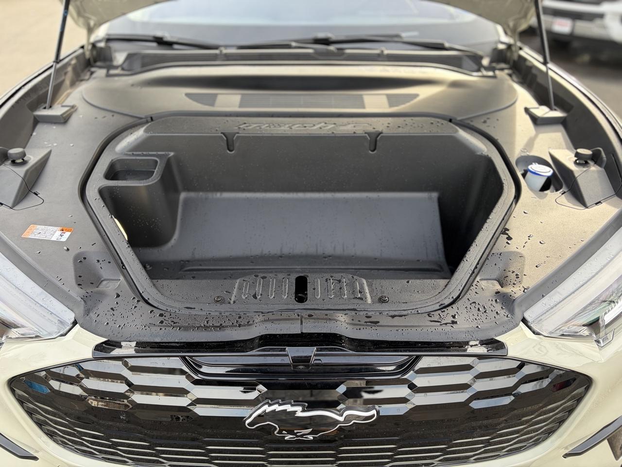 2025 Ford Mustang Mach-E Premium Springfield VA