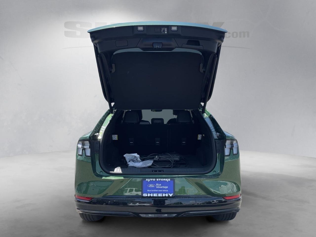 2025 Ford Mustang Mach-E Premium Springfield VA