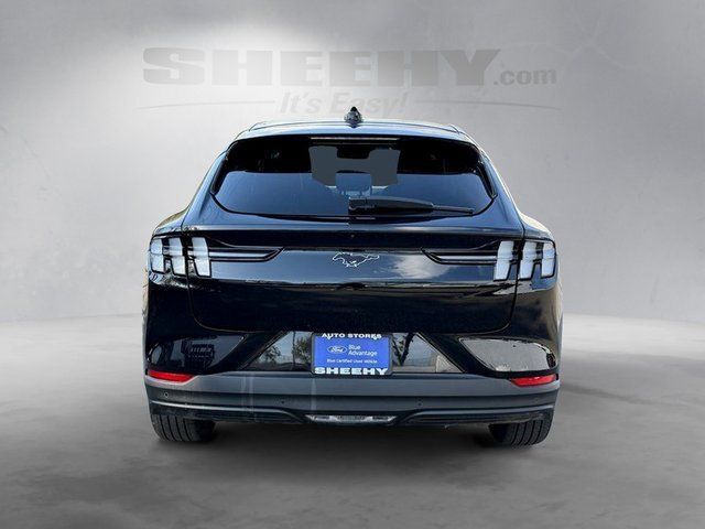 2025 Ford Mustang Mach-E Premium Springfield VA