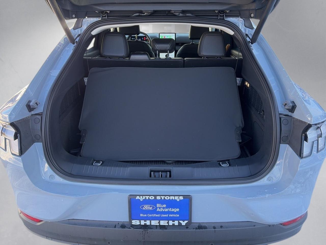 2025 Ford Mustang Mach-E Premium Springfield VA